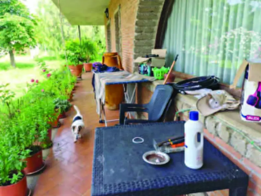 Immagine 4 di Casa bifamiliare in vendita  in Via Montegiove Vecchio a Lanuvio