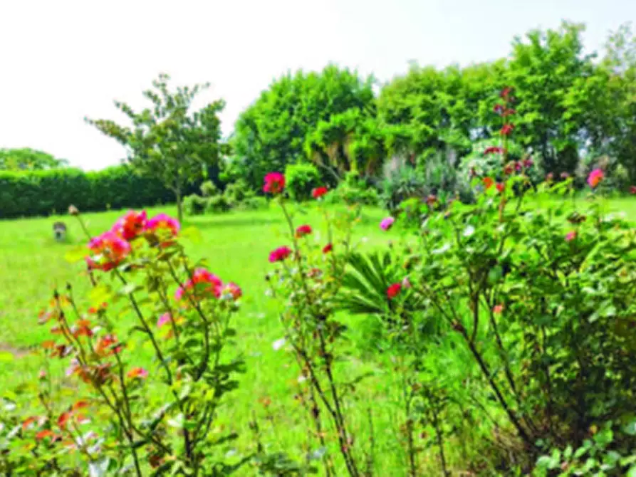 Immagine 8 di Casa bifamiliare in vendita  in Via Montegiove Vecchio a Lanuvio