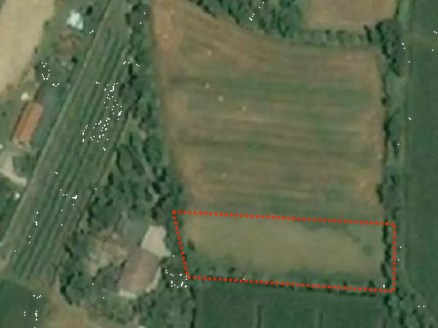 Immagine 7 di Terreno agricolo in vendita  in Località Roncade a Roncade