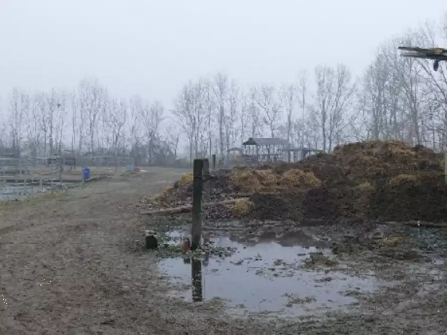 Immagine 2 di Terreno agricolo in vendita  in Località Roncade a Roncade