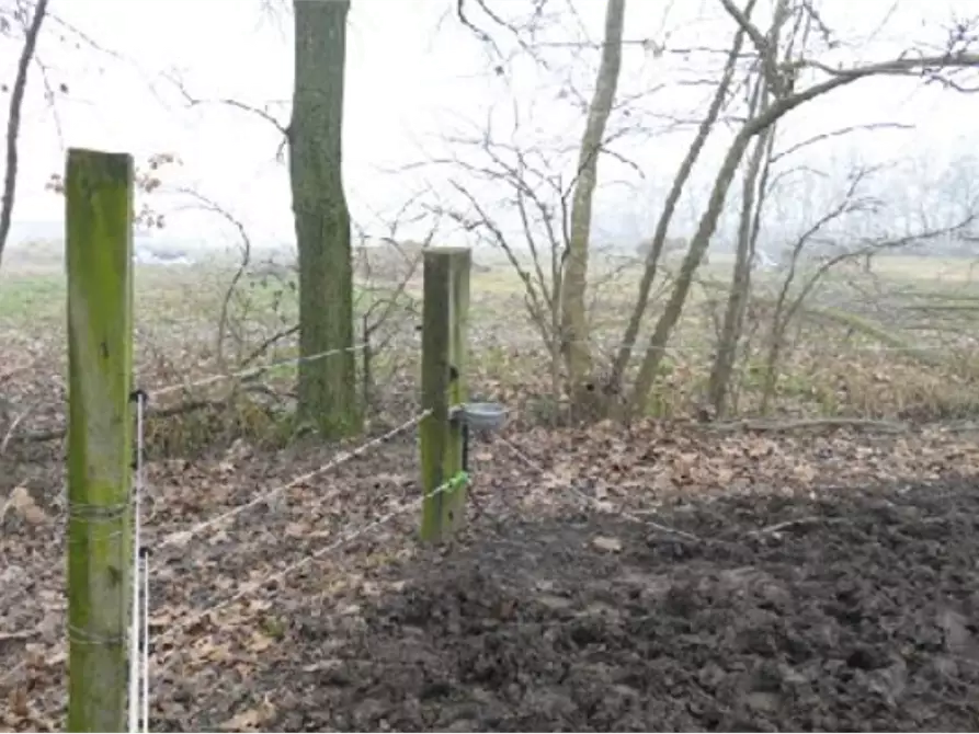 Immagine 6 di Terreno agricolo in vendita  in Località Roncade a Roncade