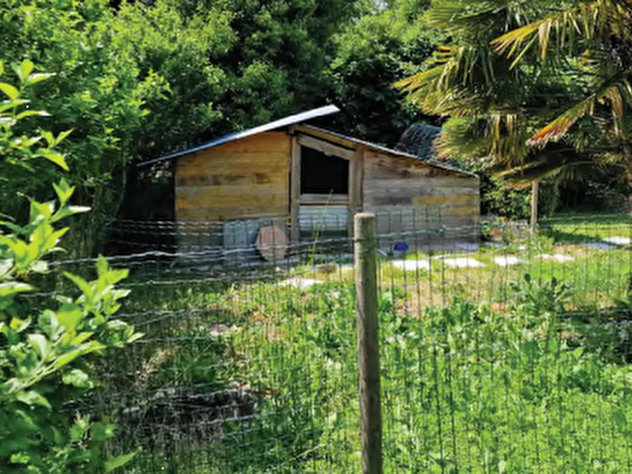 Immagine 6 di Villa in vendita  in Via Trento Trieste a Roncade