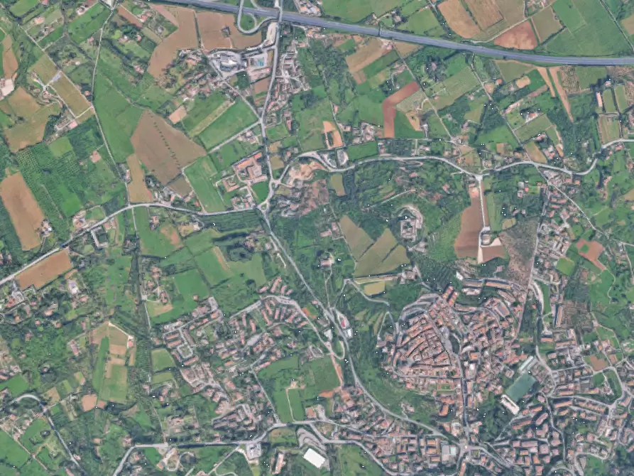 Immagine 3 di Terreno agricolo in vendita  in Via Pilozzo a Monte Porzio Catone