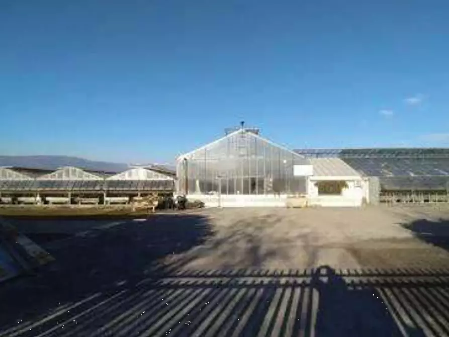 Immagine 20 di Porzione di casa in vendita  in Via Palù  a Cordignano