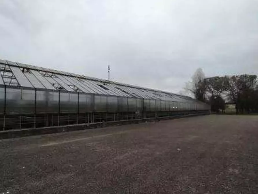 Immagine 23 di Porzione di casa in vendita  in Via Palù  a Cordignano