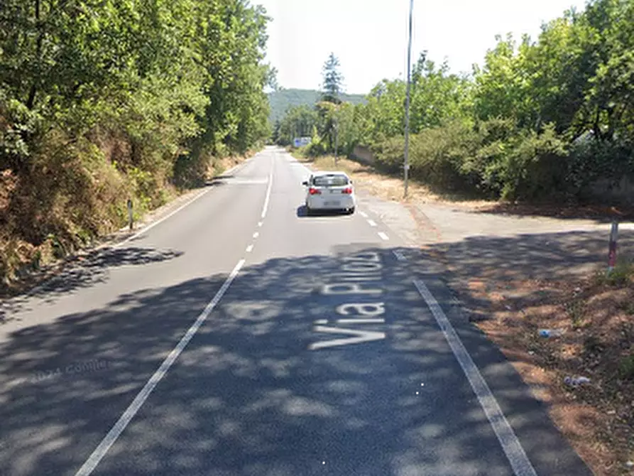Immagine 14 di Terreno agricolo in vendita  in Via Pilozzo a Monte Porzio Catone