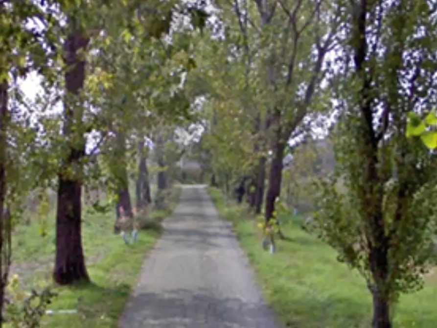 Immagine 9 di Terreno edificabile in vendita  in Via Mulino a Casalgrande