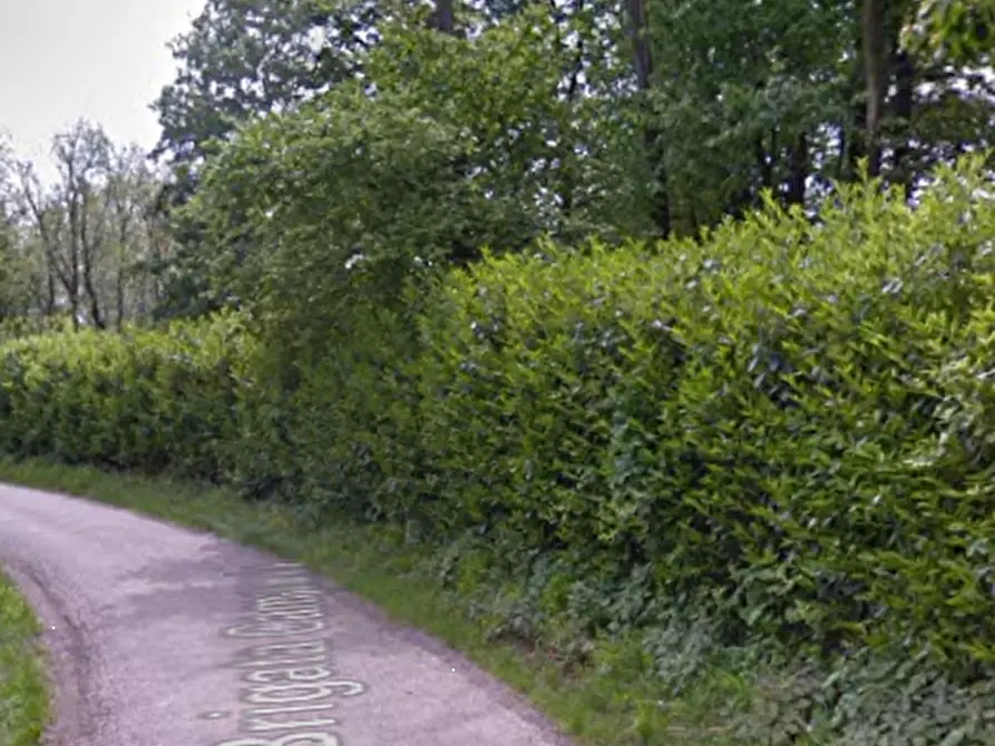 Immagine 13 di Capannone industriale in vendita  in Via Brigata Campania a Crocetta Del Montello