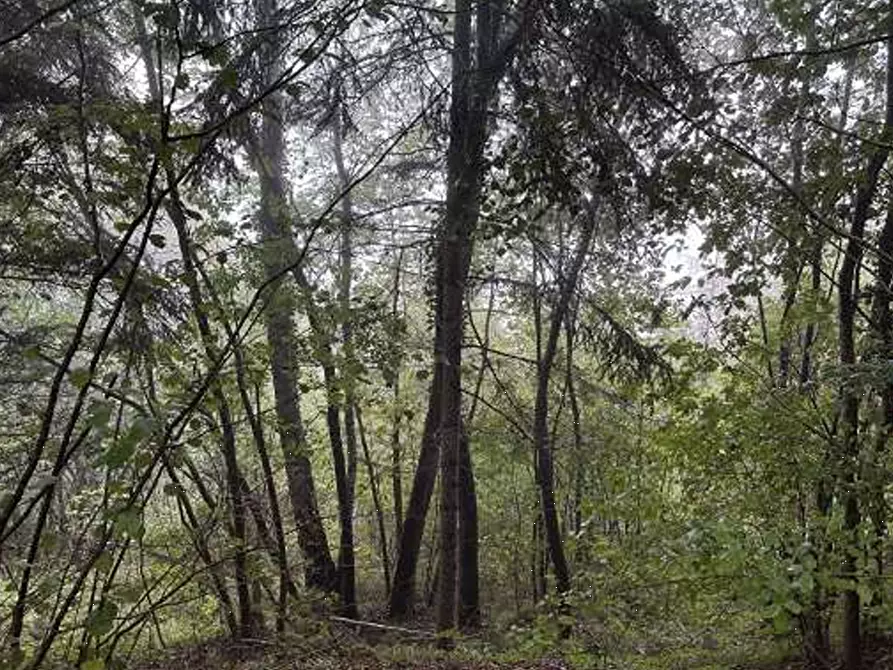 Immagine 13 di Casa indipendente in vendita  in Via Laste a Limana