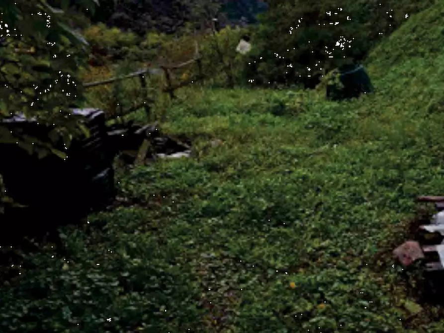 Immagine 3 di Casa indipendente in vendita  in Frazione Anzù a Feltre