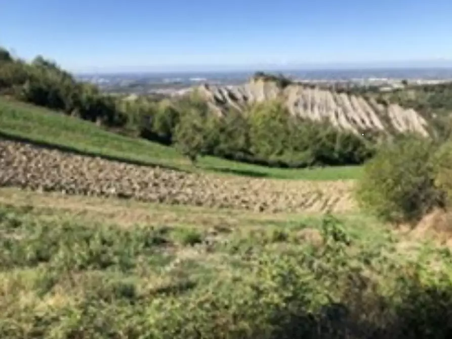 Immagine 2 di Magazzino in vendita  in Via della Rovina a Sassuolo