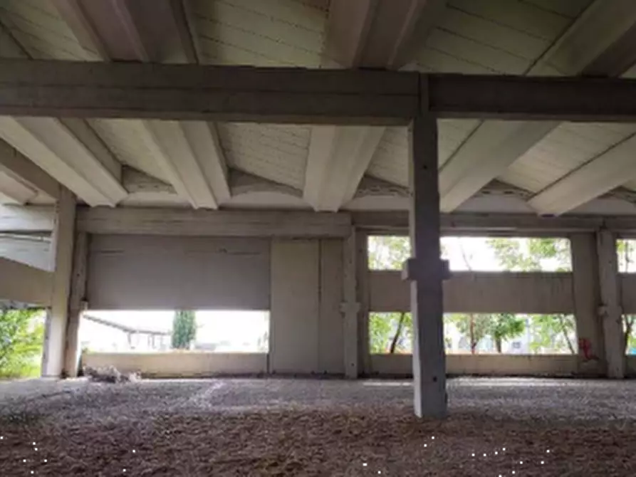 Immagine 3 di Capannone industriale in vendita  in Via Pertini a San Possidonio