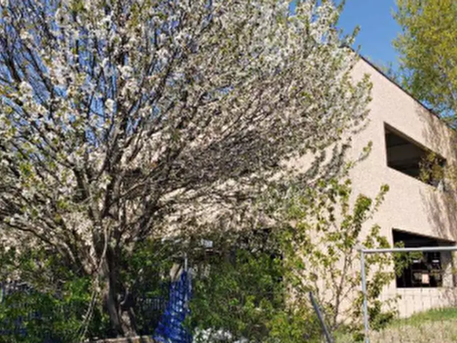 Immagine 5 di Capannone industriale in vendita  in Via Pertini a San Possidonio