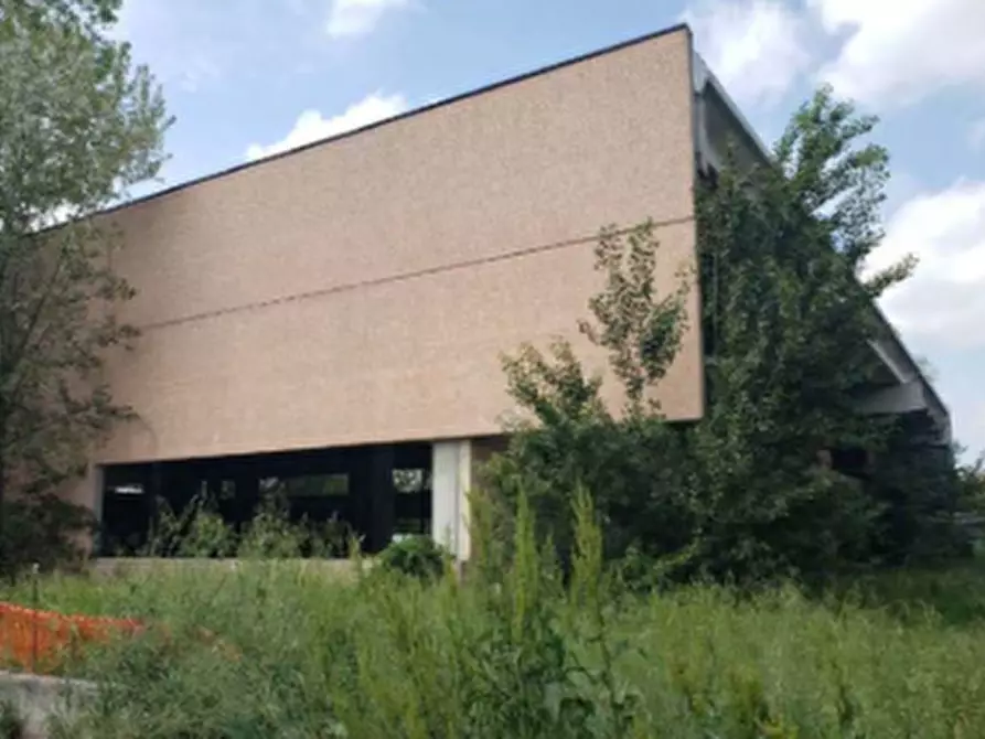 Immagine 6 di Capannone industriale in vendita  in Via Pertini a San Possidonio