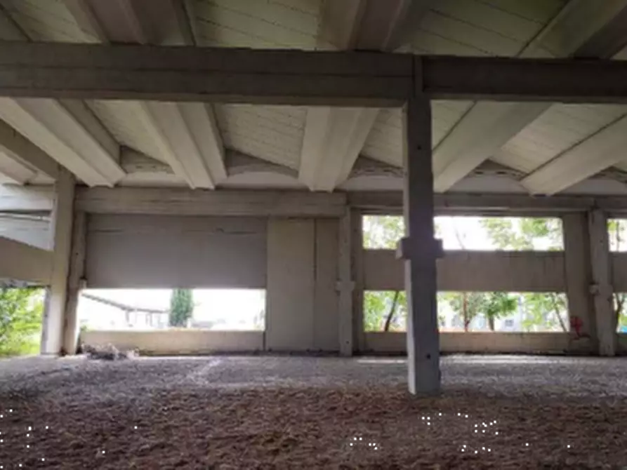 Immagine 14 di Capannone industriale in vendita  in Via Pertini a San Possidonio