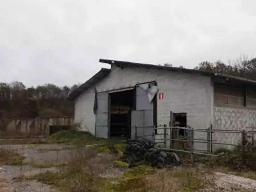 Immagine 4 di Capannone industriale in vendita  in Via Nave a Borgo Valbelluna