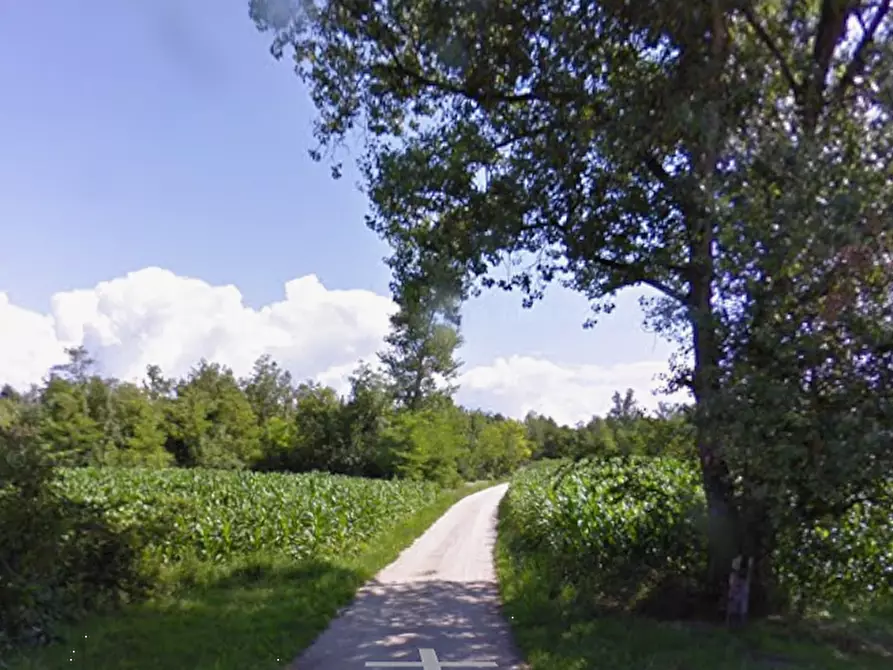 Immagine 7 di Capannone industriale in vendita  in Via Nave a Borgo Valbelluna