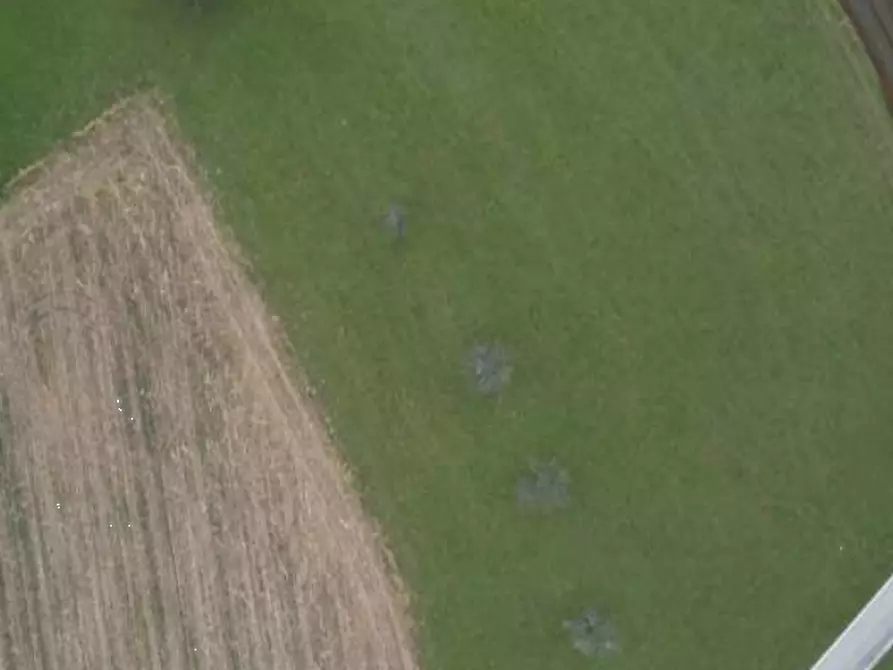 Immagine 27 di Capannone industriale in vendita  in Via Nave a Borgo Valbelluna