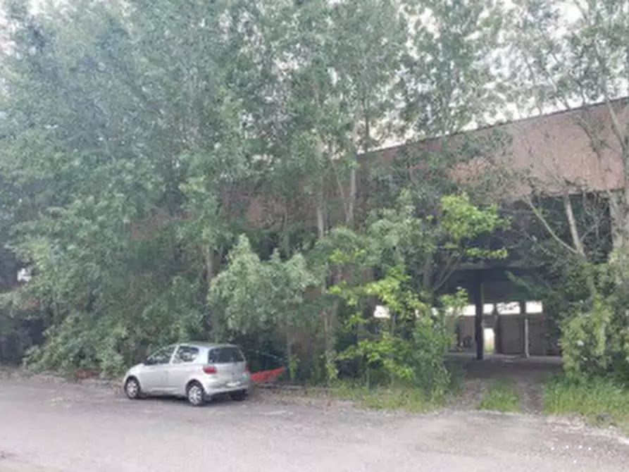 Immagine 1 di Capannone industriale in vendita  in Via Pertini a San Possidonio