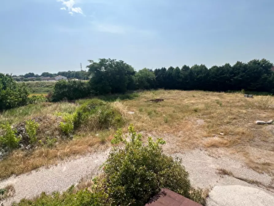 Immagine 2 di Terreno agricolo in vendita  in Via Cisa Veneta a Guastalla