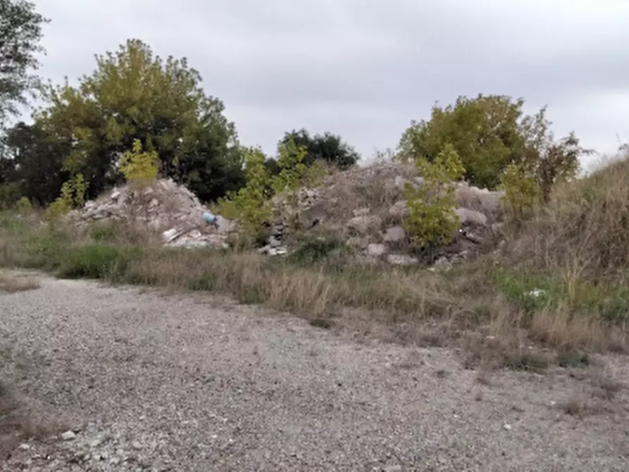 Immagine 3 di Terreno agricolo in vendita  in Via Cisa Veneta a Guastalla