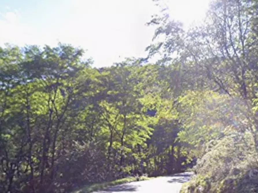 Immagine 13 di Villa in vendita  in Localita' Ponte  a Plesio