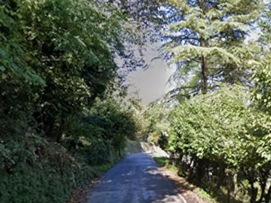 Immagine 14 di Villa in vendita  in Localita' Ponte  a Plesio