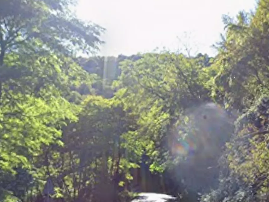 Immagine 16 di Villa in vendita  in Localita' Ponte  a Plesio