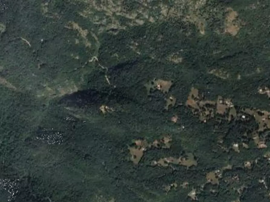 Immagine 17 di Villa in vendita  in Localita' Ponte  a Plesio