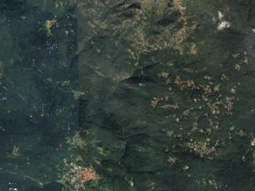 Immagine 19 di Villa in vendita  in Localita' Ponte  a Plesio