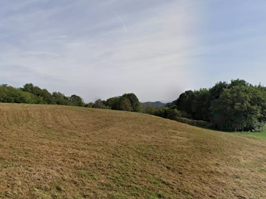 Immagine 1 di Terreno agricolo in vendita  in Contrada Grigolati a Valdagno