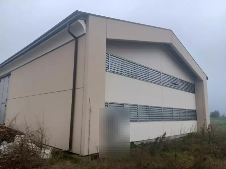 Immagine 2 di Casa indipendente in vendita  in Via Albero a Finale Emilia