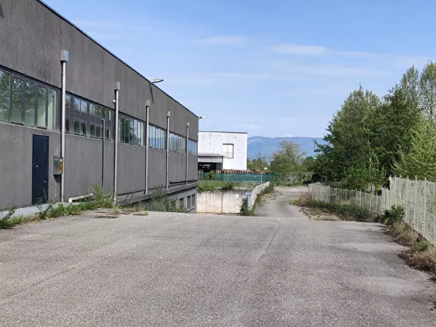 Immagine 2 di Capannone industriale in vendita  in Via Postumia a Quinto Vicentino