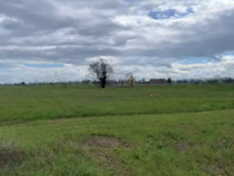 Immagine 8 di Terreno edificabile in vendita  in Via Castelletto a Massa Lombarda