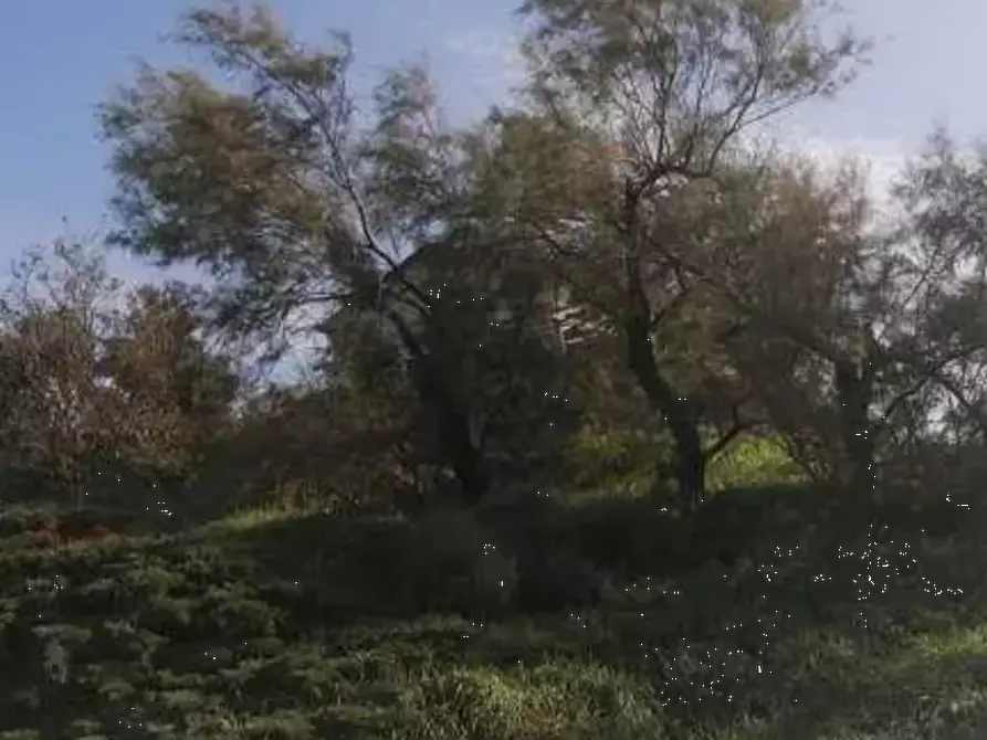 Immagine 4 di Casa indipendente in vendita  in Via Ceparano a Brisighella