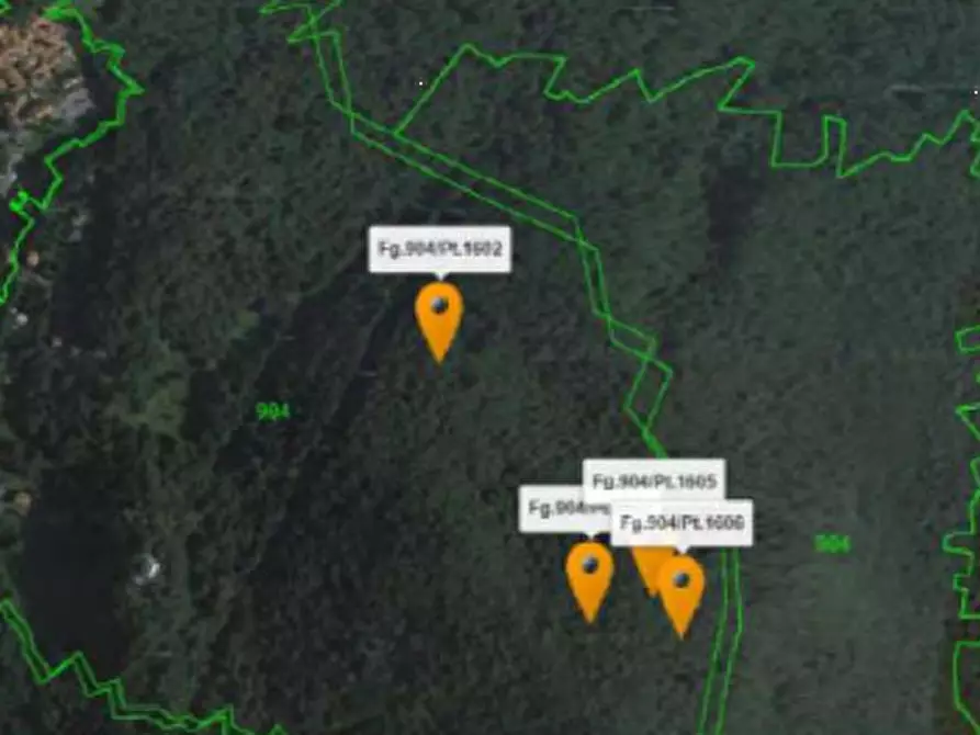 Immagine 3 di Terreno agricolo in vendita  in Comune di Plesio a Plesio