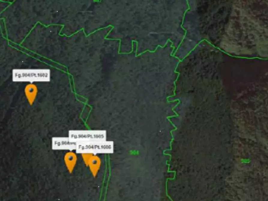 Immagine 2 di Terreno agricolo in vendita  in Comune di Plesio a Plesio