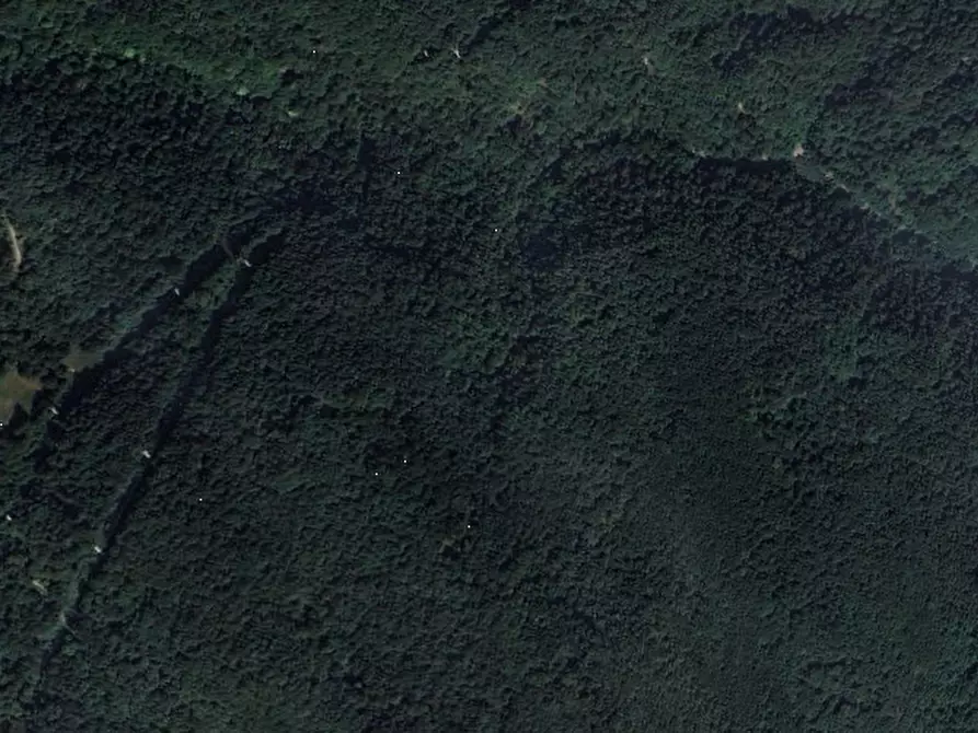 Immagine 1 di Terreno agricolo in vendita  in Comune di Plesio a Plesio