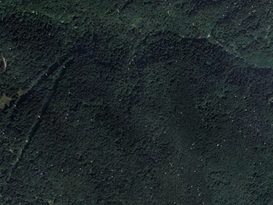 Immagine 5 di Terreno agricolo in vendita  in Comune di Plesio a Plesio