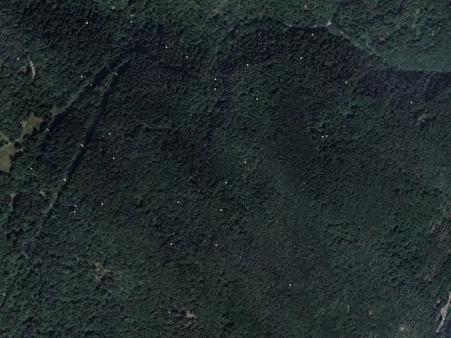 Immagine 6 di Terreno agricolo in vendita  in Comune di Plesio a Plesio