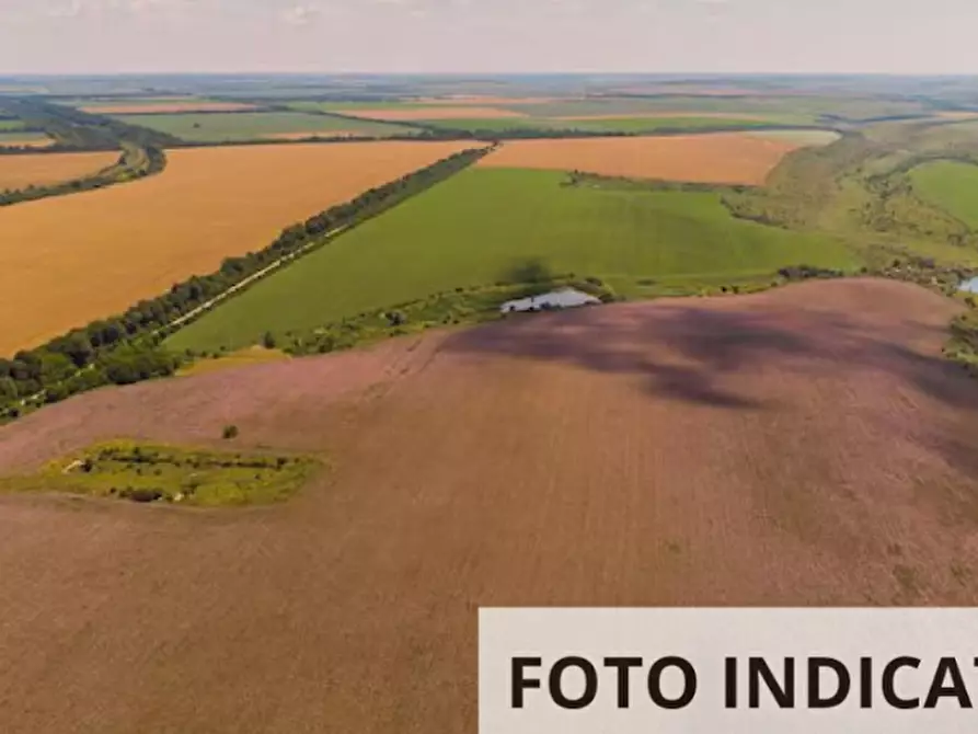 Immagine 8 di Terreno agricolo in vendita  in Comune di Plesio a Plesio