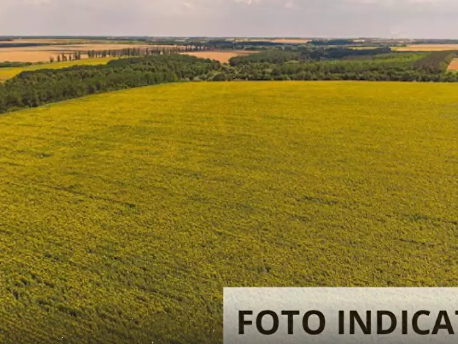 Immagine 9 di Terreno agricolo in vendita  in Comune di Plesio a Plesio