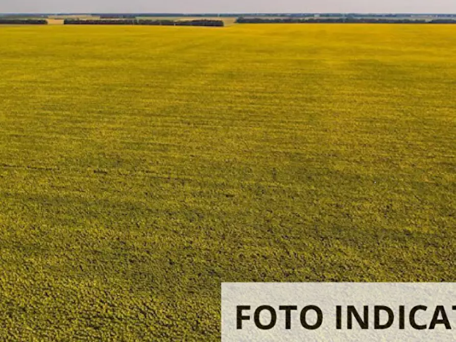 Immagine 10 di Terreno agricolo in vendita  in Comune di Plesio a Plesio
