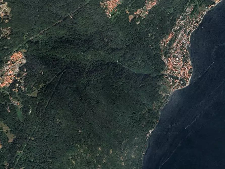 Immagine 7 di Terreno agricolo in vendita  in Comune di Plesio a Plesio