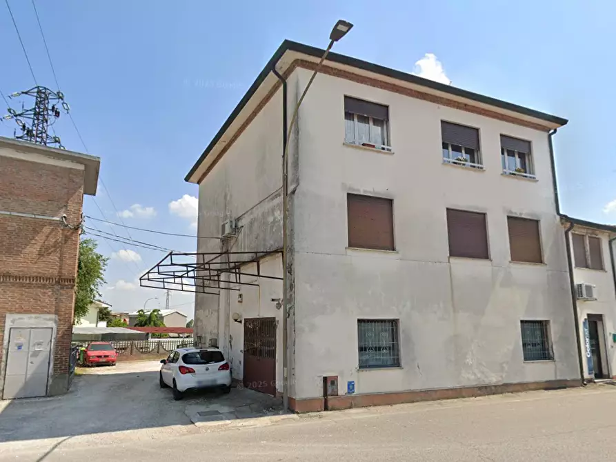 Immagine 7 di Appartamento in vendita  in Piazza San Sebastiano a Badia Polesine