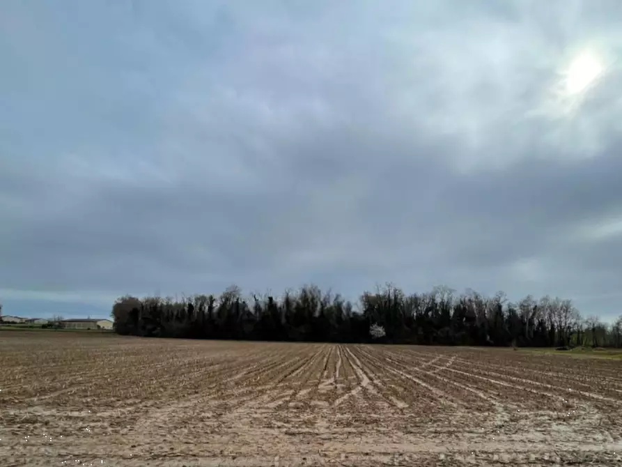 Immagine 2 di Terreno agricolo in vendita  in Via Palazzo a Bedizzole