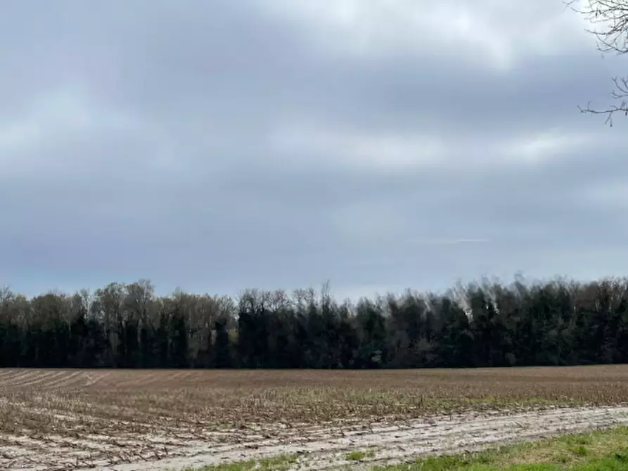 Immagine 4 di Terreno agricolo in vendita  in Via Palazzo a Bedizzole