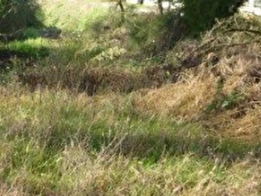 Immagine 11 di Casa indipendente in vendita  in Vicolo San Sisto a Ravenna