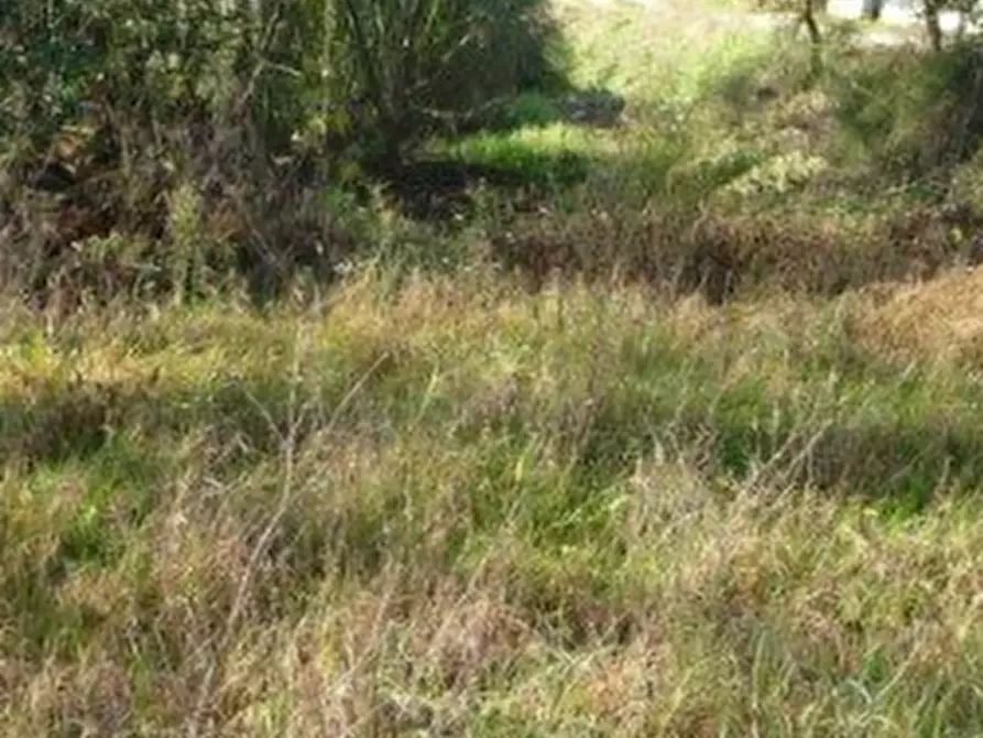 Immagine 12 di Casa indipendente in vendita  in Vicolo San Sisto a Ravenna