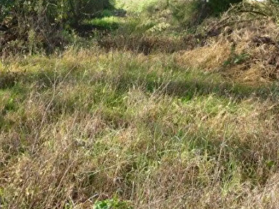 Immagine 13 di Casa indipendente in vendita  in Vicolo San Sisto a Ravenna